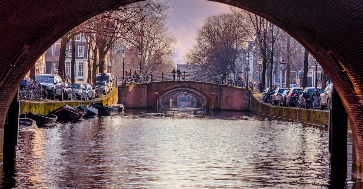 Addressing Common Challenges in Virtual Dutch Learning Environments