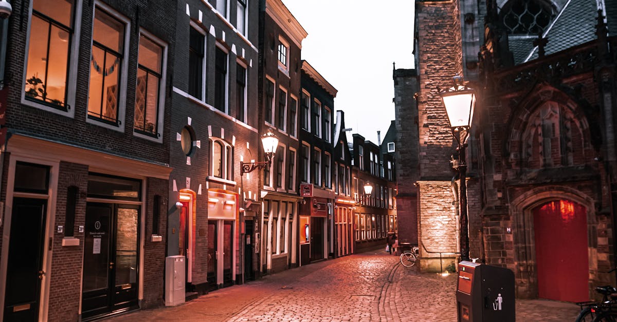 Beginner's Guide to Choosing a Dutch Language App