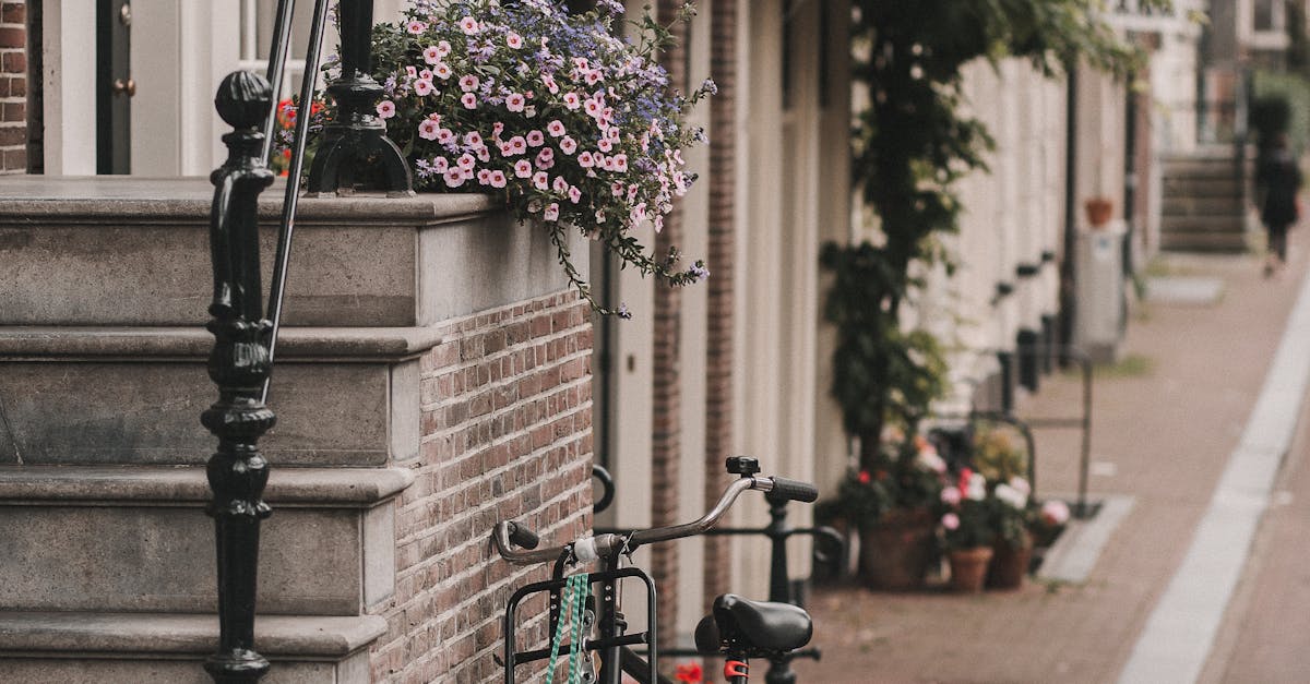Best Mobile Apps for Learning Dutch on the Go