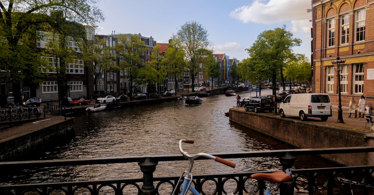 Best Practices for Self-Studying Dutch Online