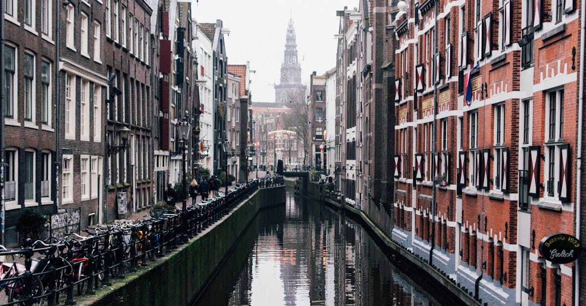 Building Confidence in Dutch Conversations with Local Tutors