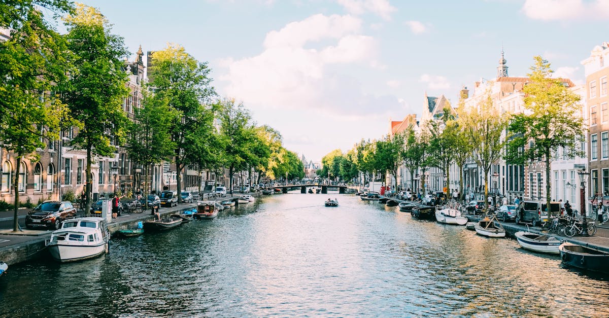 Comparing Popular Virtual Classroom Platforms for Dutch Lessons