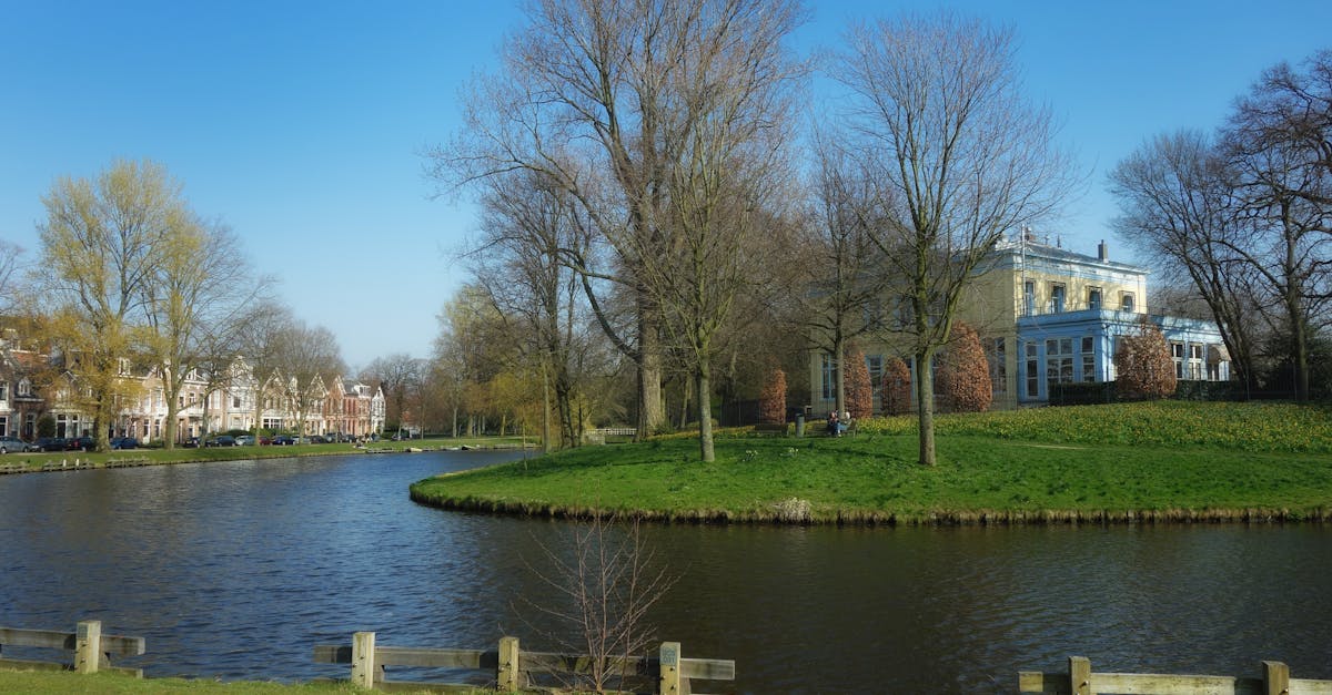 Essential Qualifications for Effective Online Dutch Tutors