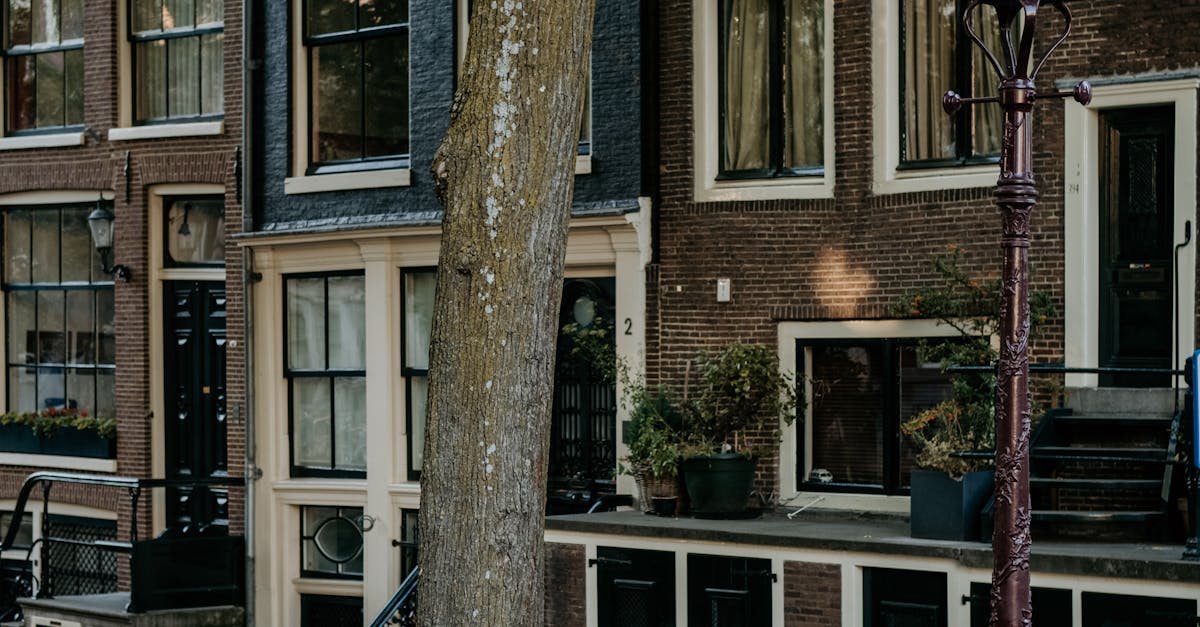 Evaluating the Certifications of Dutch Language Instructors
