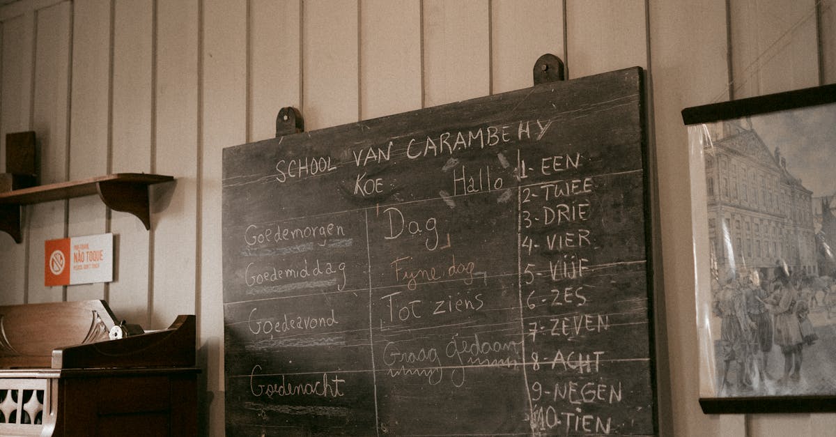 Evaluating Tutor Qualifications for Dutch Language Proficiency
