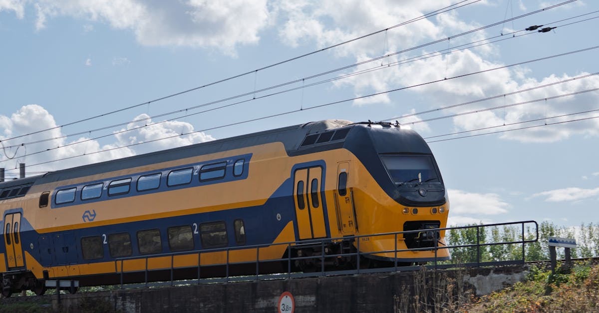 Exploring Common Dutch Phrases for Everyday Communication