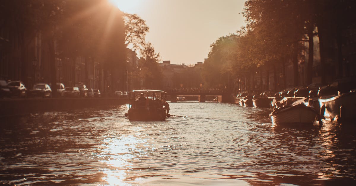 Exploring User-Friendly Interfaces for Dutch Language Learners