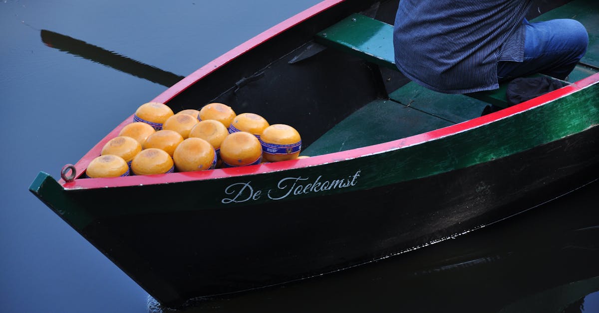 Features to Look for in Dutch Online Learning Platforms