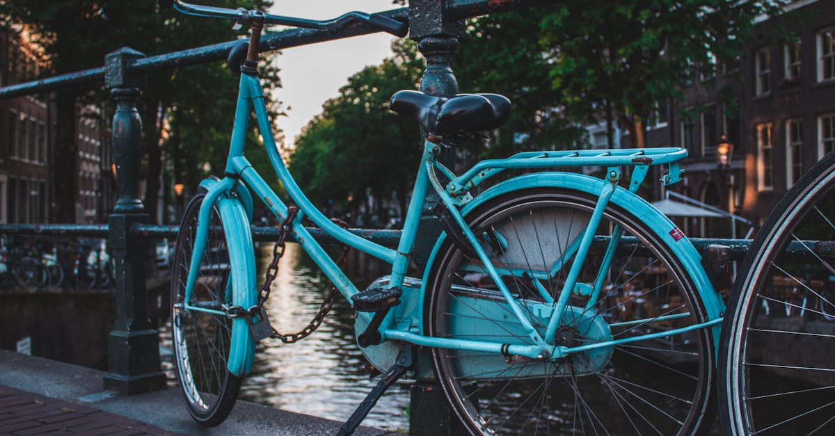 Finding the Right Dutch Tutor for Your Language Needs