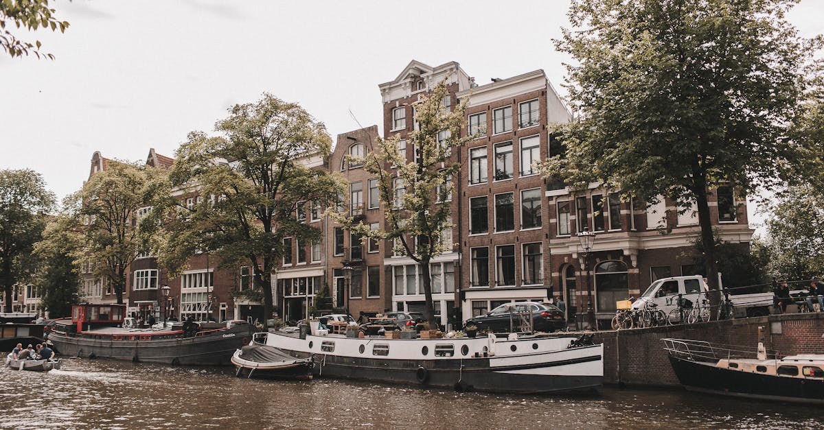 How Course Length Impacts Language Acquisition in Dutch Lessons
