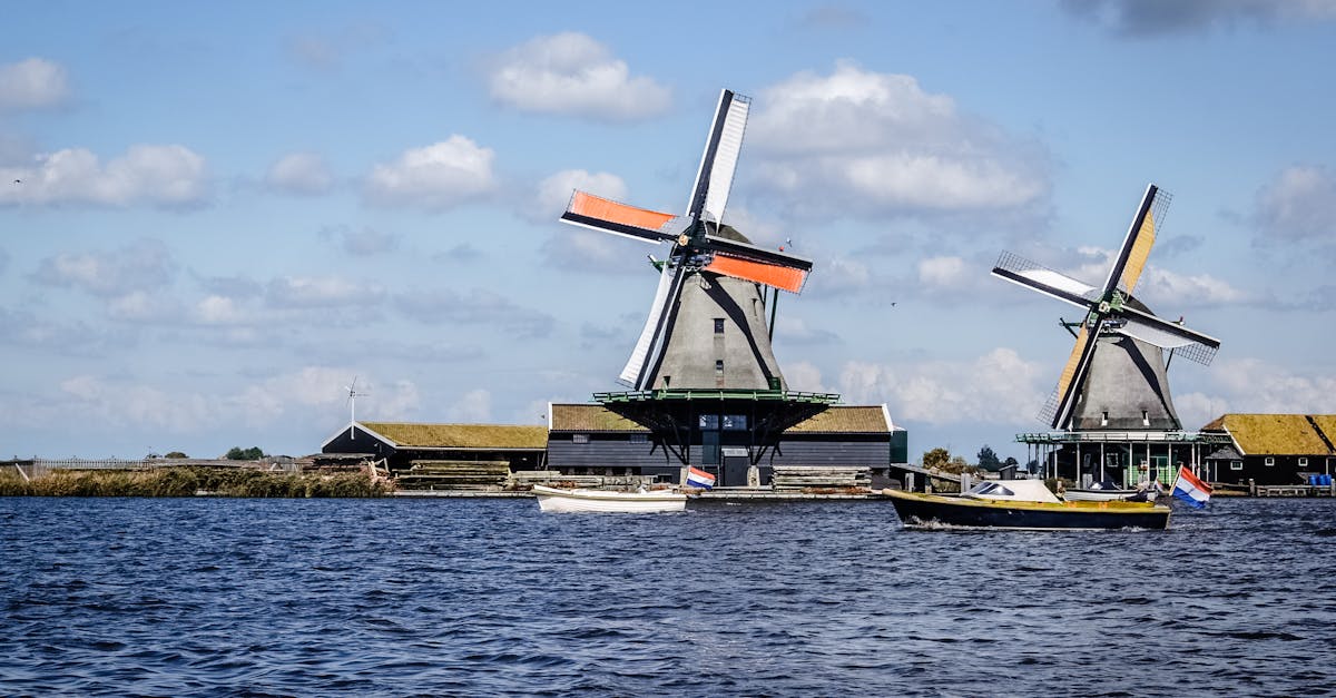 How Experience Levels Impact Dutch Language Instruction