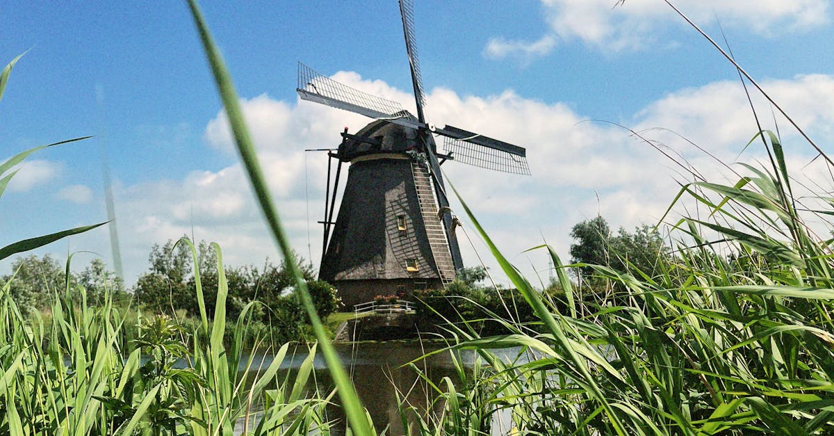 How to Choose a Private Tutor for Effective Dutch Learning