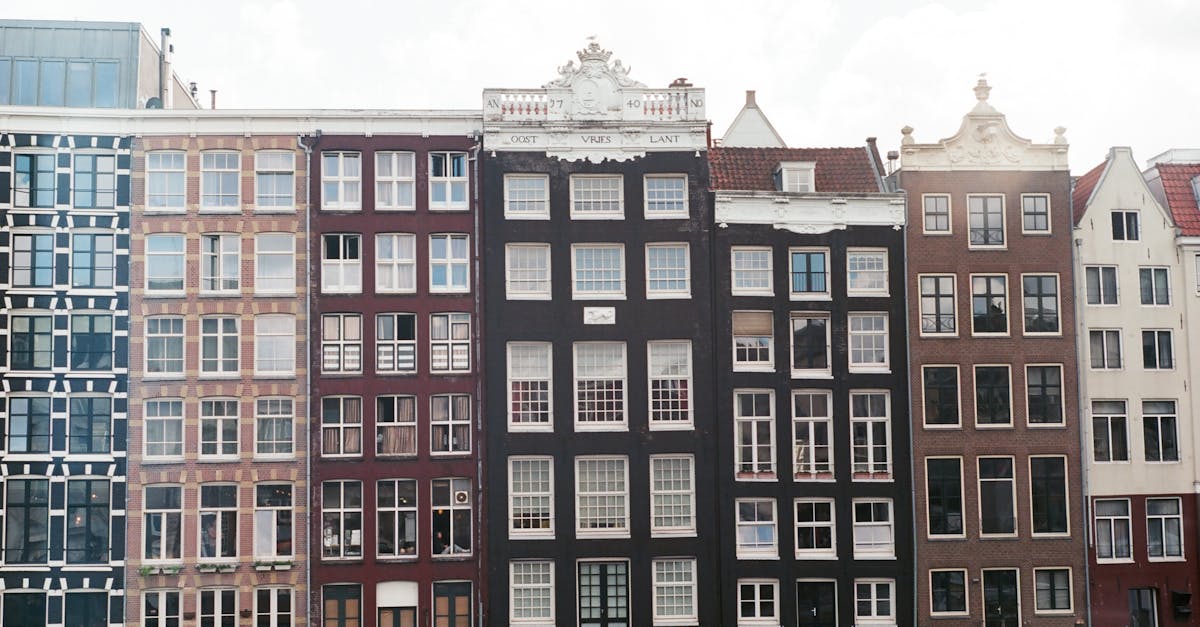 How to Choose an Effective Virtual Classroom for Dutch Lessons in Utrecht