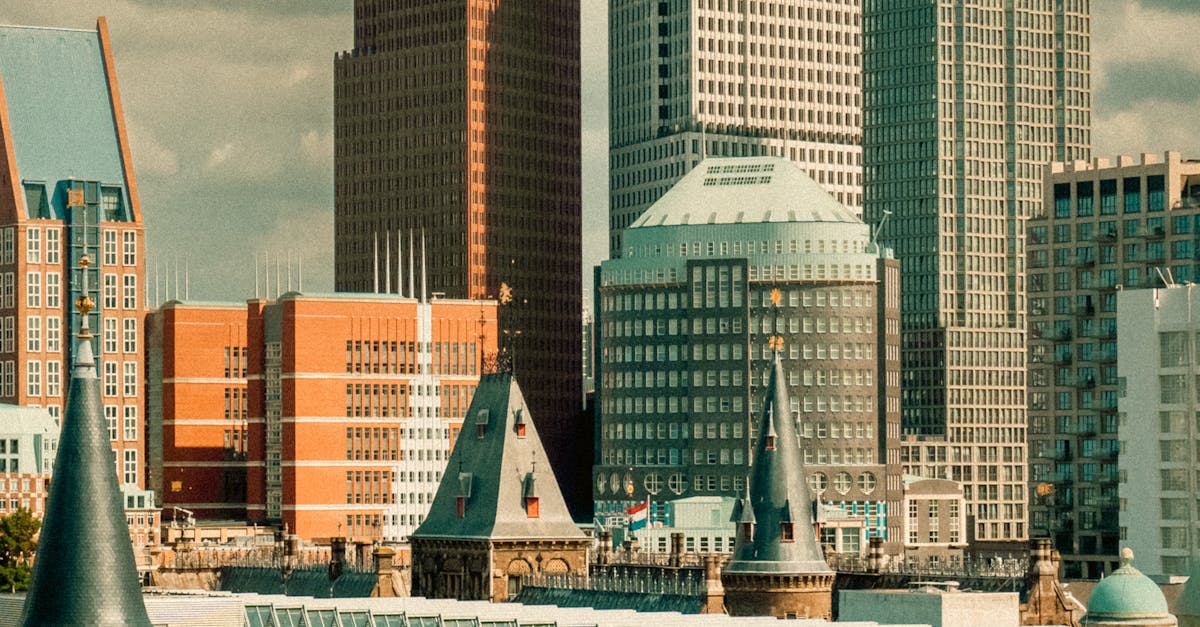 How to Choose the Right Online Language Platform for Dutch