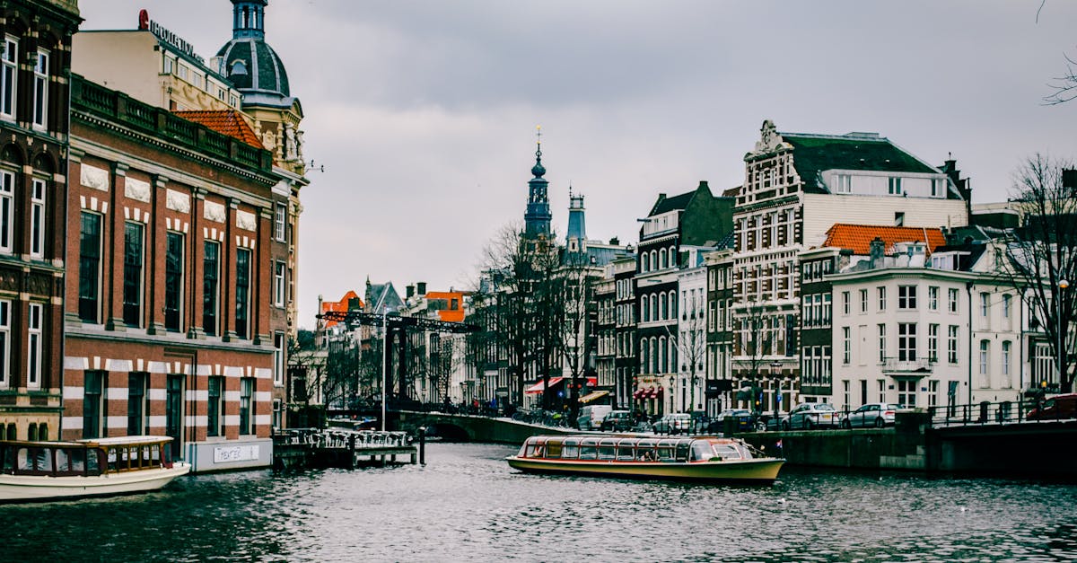 How to Utilize Virtual Reality for Dutch Language Immersion