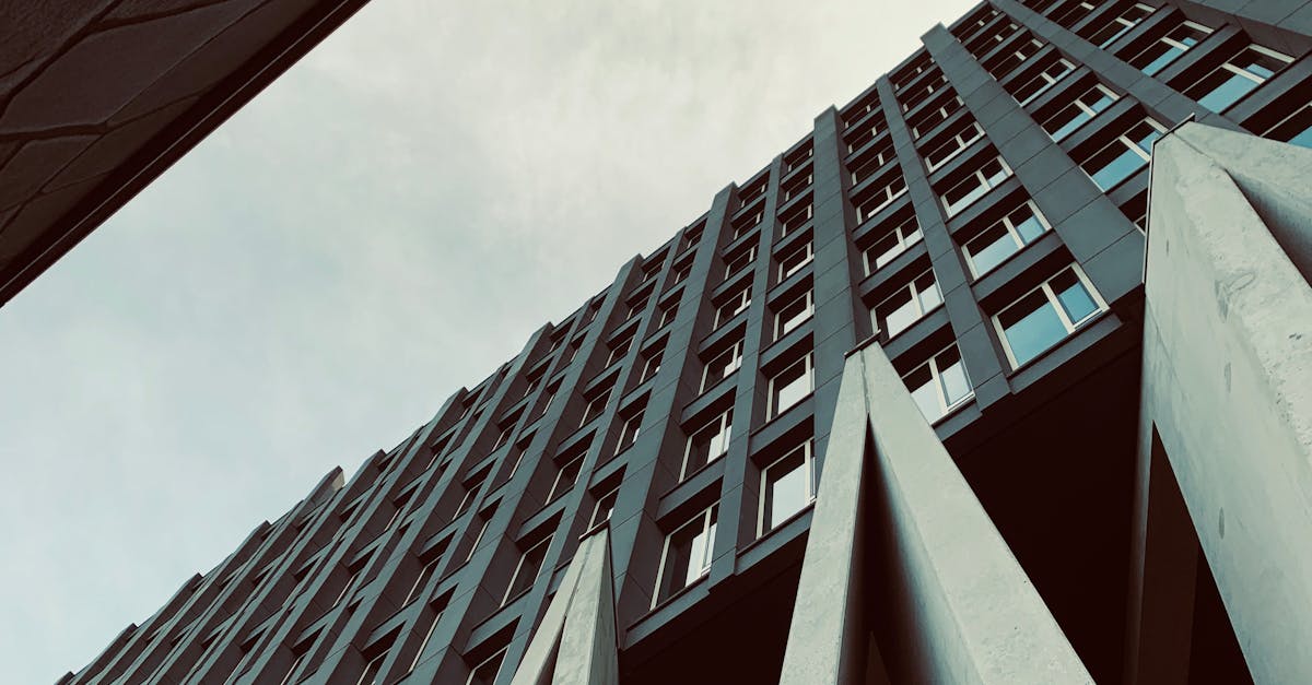 Intensive Dutch Programs: A Pathway to Fluency in Utrecht