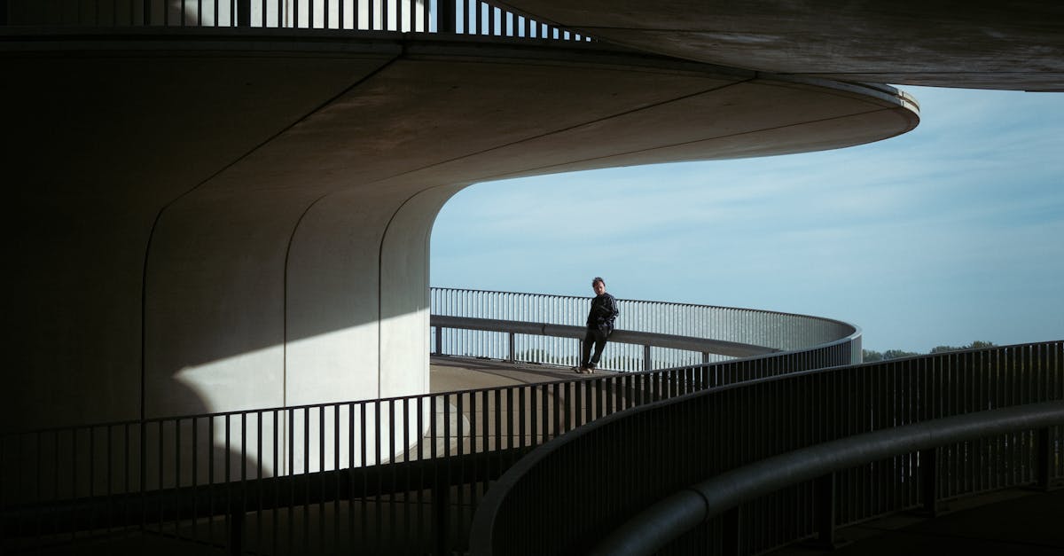 Navigating Challenges: Student Feedback on Online Dutch Courses
