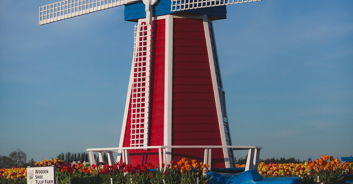 Setting Realistic Timeframes for Achieving Fluency in Online Dutch