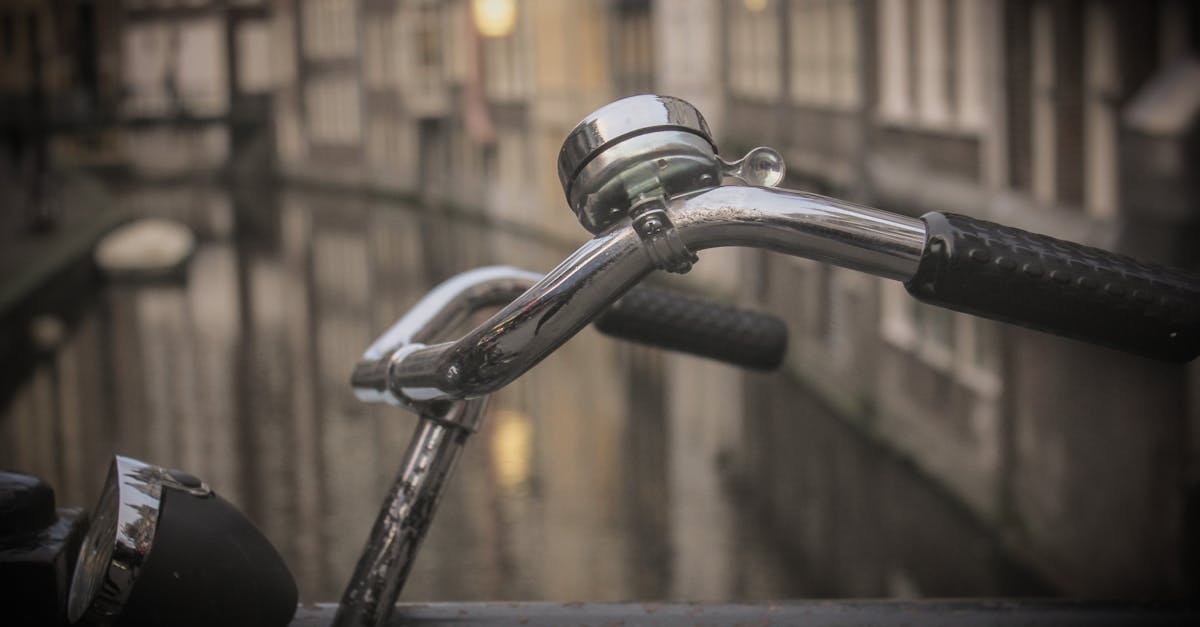 The Future of Learning Dutch: Innovations in Virtual Classrooms