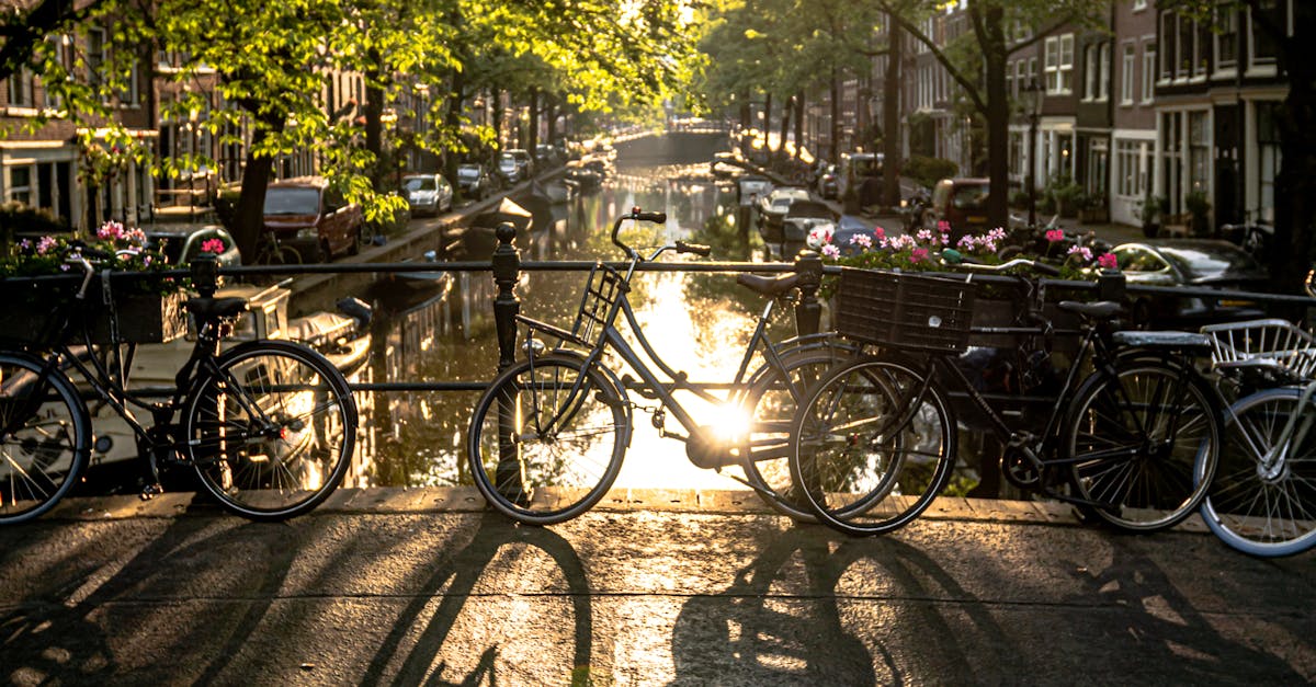 The Role of Community Forums in Online Dutch Learning Platforms