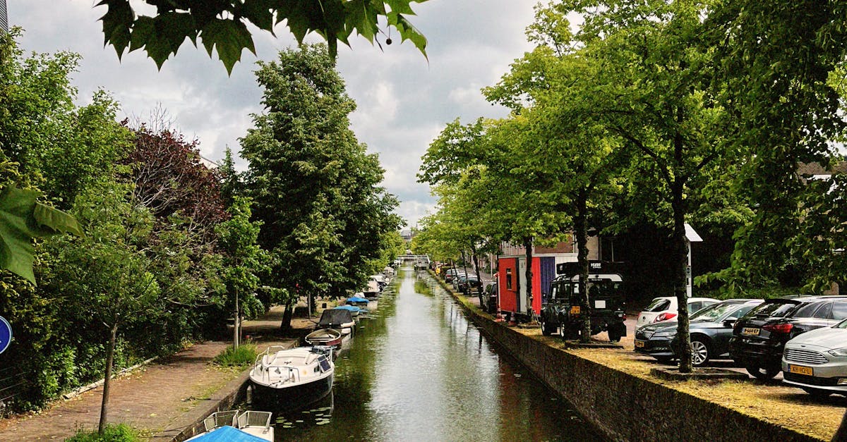 The Role of Conversation Partners in Learning Dutch Effectively