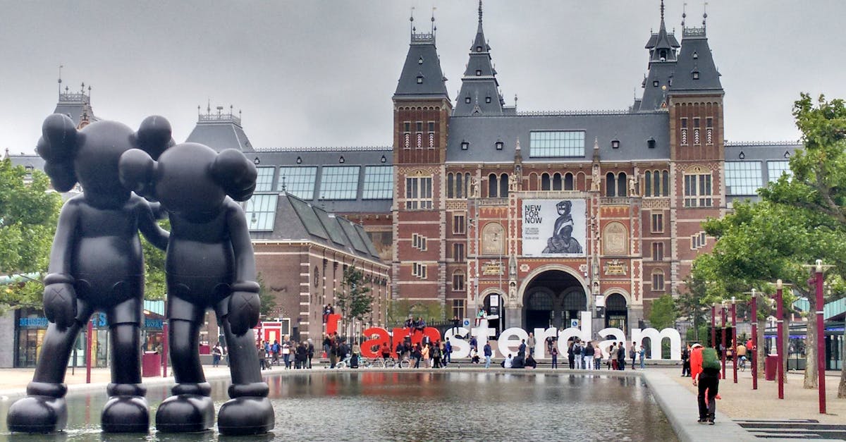 The Role of Group Dynamics in Dutch Language Acquisition