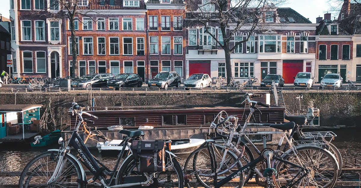 The Structure and Schedule of Utrecht's Intensive Dutch Classes