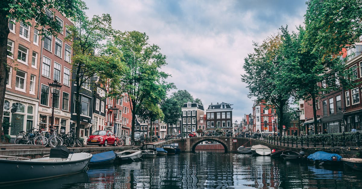 Understanding Class Size Impact on Learning in Dutch Group Classes