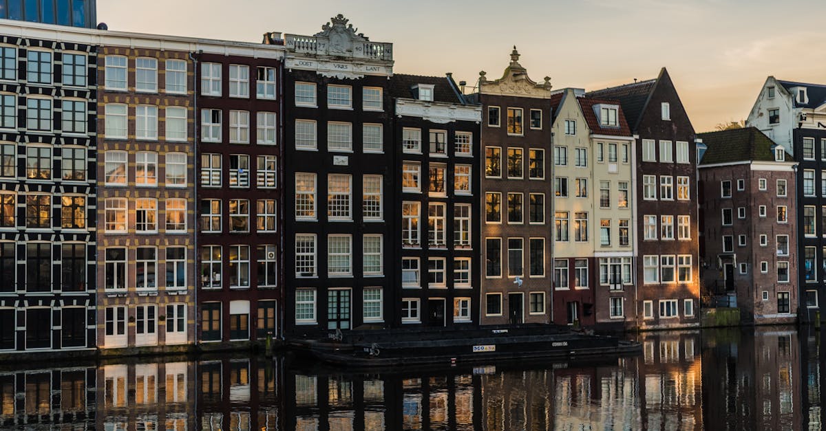 User Experience: Which Dutch Language Apps Stand Out